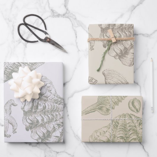 シーシェルソフトアンティークアートビーチシェル ラッピングペーパーシート (正面)