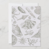 シーシェルソフトアンティークアートビーチシェル 招待状 (裏面)