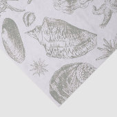 シーシェルソフトアンティークアートビーチシェル 薄葉紙 (詳細)