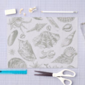 シーシェルソフトアンティークアートビーチシェル 薄葉紙 (クラフト)