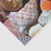 シーシェルティッシュペーパー- HAMbyWG 薄葉紙 (詳細)