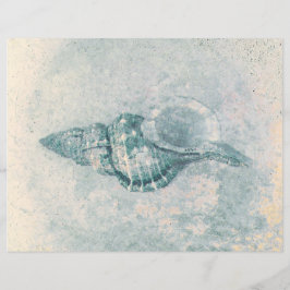 シーシェルティール(緑がかった色)ベージュヴィンテージ海ビーチテクスチャ