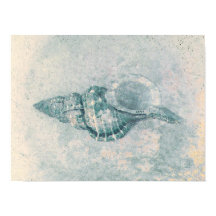 シーシェルティール（緑がかった色）ベージュヴィンテージ海ビーチテクスチャ