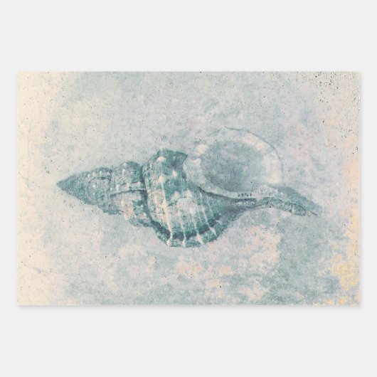 シーシェルティール(緑がかった色)ベージュヴィンテージ海ビーチテクスチャ ラッピングペーパーシート (正面2)