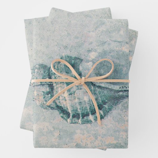 シーシェルティール(緑がかった色)ベージュヴィンテージ海ビーチテクスチャ ラッピングペーパーシート (インサイチュ)