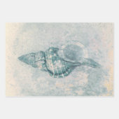 シーシェルティール(緑がかった色)ベージュヴィンテージ海ビーチテクスチャ ラッピングペーパーシート (正面)