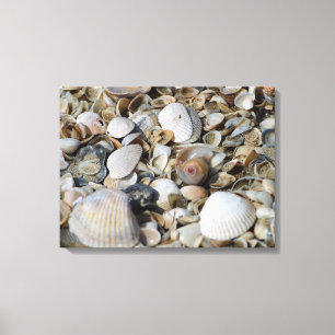 シーシェルビーチシーンマクロフォトウォールアート キャンバスプリント