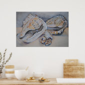 シーシェルプリント ポスター (キッチン)