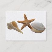 シーシェルプロファイルカード 名刺 (裏面)