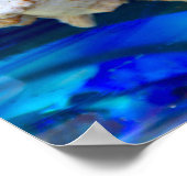 シーシェルポスター ポスター (角)