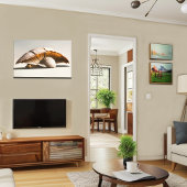 シーシェルマッシュルームキャンバスウォールアート キャンバスプリント