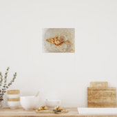 シーシェルヴィンテージアンティーク海ビーチテクスチャ ポスター (キッチン)