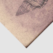 シーシェルヴィンテージ海ビーチテクスグランジチャ 薄葉紙 (詳細)