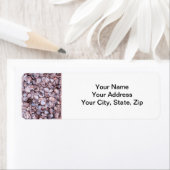 シーシェル差出人住所ラブル ラベル (インサイチュ)