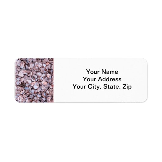 シーシェル差出人住所ラブル ラベル (正面)