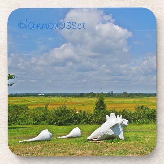 シーシェル彫刻コースター コースター (正面)