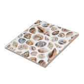 シーシェル模様 タイル (側面)