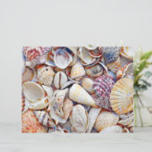 シーシェル海ビーチ水の色の分離 (スタンド正面)