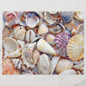 シーシェル海ビーチ水の色の分離 (正面)