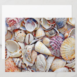 シーシェル海ビーチ水の色の分離