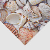 シーシェル海ビーチ水の色の分離 薄葉紙 (詳細)