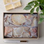 シーシェル海ビーチ水の色の分離 薄葉紙 (ギフト)