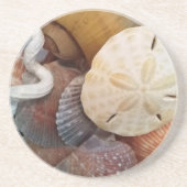 シーシェル砂ドル コースター (正面)