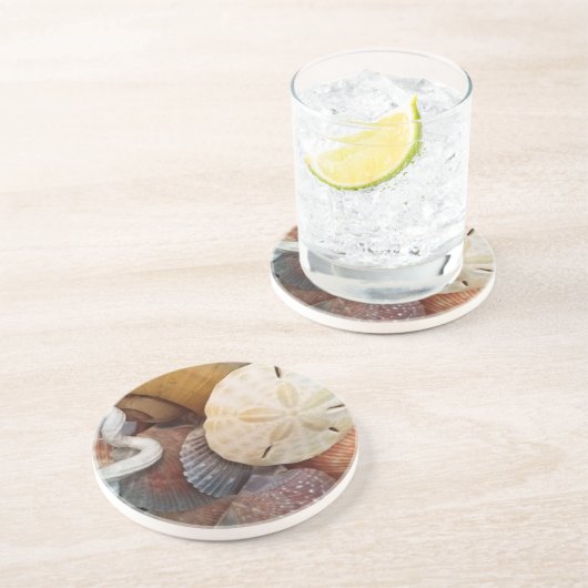 シーシェル砂ドル コースター (側面)