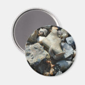 シーシェル3 マグネット (正面/裏面)