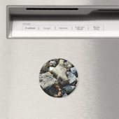 シーシェル3 マグネット (インサイチュ (食洗機))