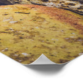 シーシェル・アット・ザ・シーショア ポスター (角)