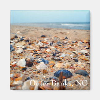 シーシェル・オン・ザ・ビーチ・マグネット マグネット