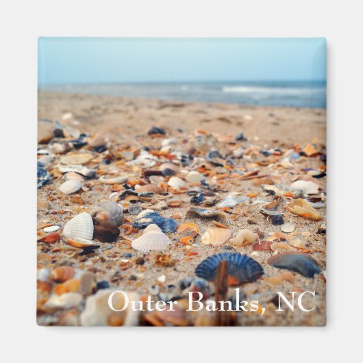 シーシェル・オン・ザ・ビーチ・マグネット マグネット (正面)