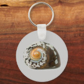 シーシェル キーホルダー (正面)