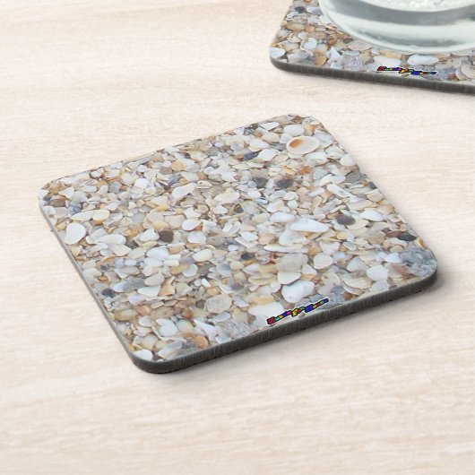 シーシェル コースター (左側)