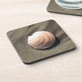 シーシェル コースター (左側)