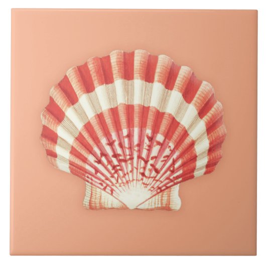 シーシェル – コーラルオレンジと白 タイル (正面)