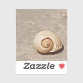 シーシェル シール (シート)