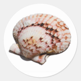 シーシェル・シール ラウンドシール