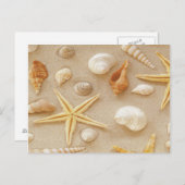 シーシェル・バイ・ザ・シーショア ポストカード (正面/裏面)