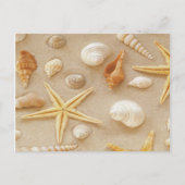 シーシェル・バイ・ザ・シーショア ポストカード (正面)