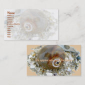 シーシェル,低潮調整品目 名刺 (正面/裏面)