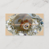 シーシェル,低潮調整品目 名刺 (裏面)