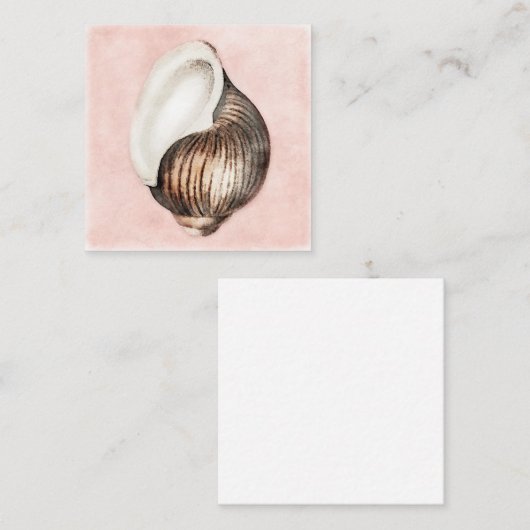 シーシェル-水彩ビーチデコーラモモ スクエア名刺 (正面/裏面)