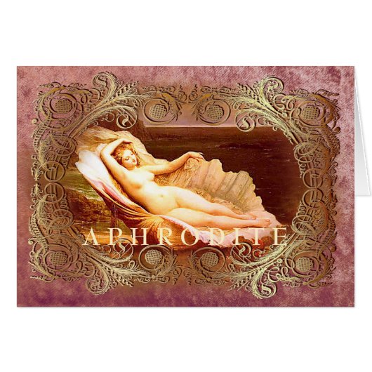 シーシェル – 海ビーチシェル (正面横)