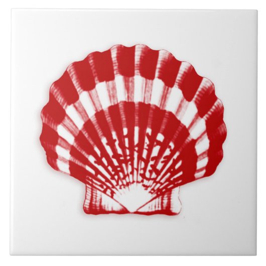 シーシェル – 深い 赤と白 タイル (正面)