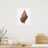 シーシェルno.1ビーチデコールアートプリント ポスター (キッチン)