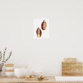 シーシェルno.5ビーチデコールアートプリント ポスター (キッチン)