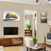 シーシェ白熱［赤熱］光を放つルウォールアートコースタルデコール キャンバスプリント