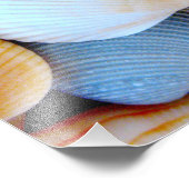 シーシカラフルェルコレクション写真 フォトプリント            (角)